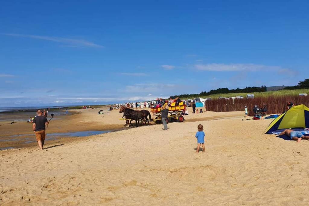 Ferienwohnung Elwetritsch An Der Nordsee Ihlienworth Zewnętrze zdjęcie